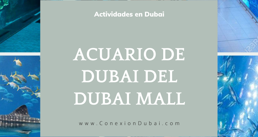 Acuario de Dubái del Dubái Mall