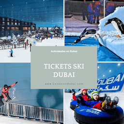 Tickets Ski Dubái