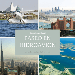 Paseo en Hidroavión por Dubái