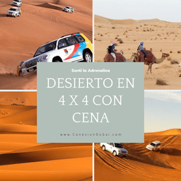 Safari Desierto en Dubai 4x4